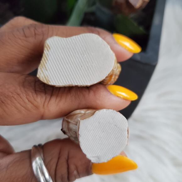 Wade Red Rose Tea Collectible Ceramic Koala & Squirrel Figurine Set - Picture 7 of 7